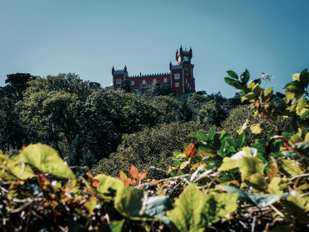 ¿Vale la pena un máster en formación online completa? 1 pexels photo 11932078