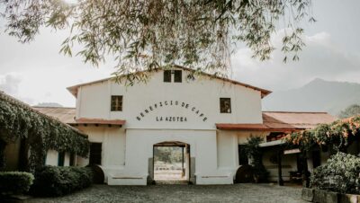 pexels photo 15312645