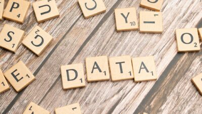 pexels photo 19891028