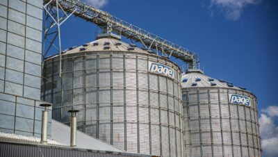 pexels photo 31226905