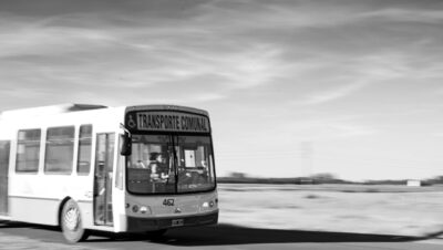 pexels photo 35253425