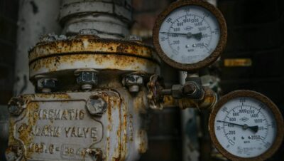 pexels photo 7865898 1